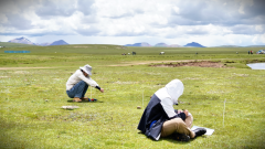 江源科考“把脉”长江源区最大湿地
